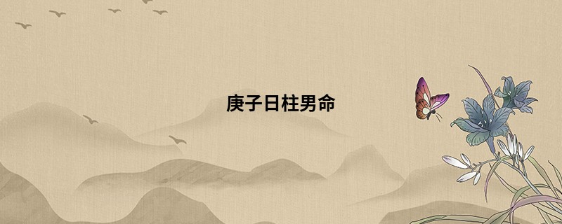 庚子日柱男命
