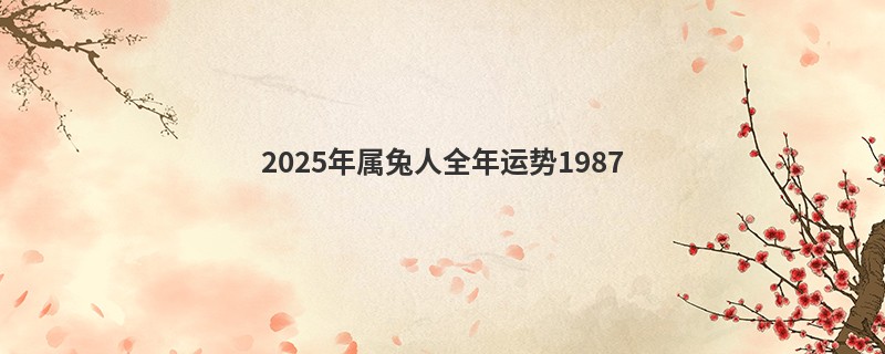 2025年属兔人全年运势1987