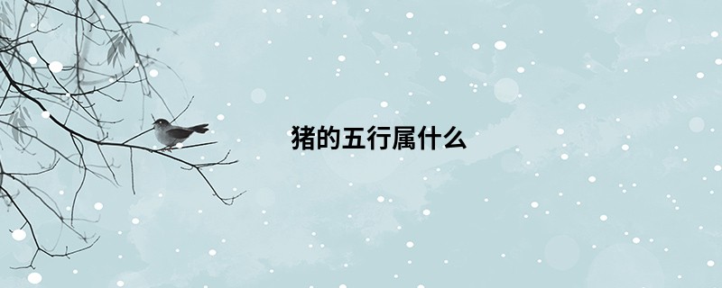 猪的五行属什么