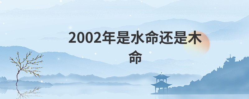 2002年是水命还是木命