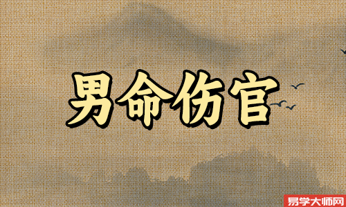 伤官格男命事业运势怎么样?