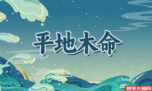 平地木命人的喜用神是什么?