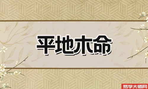 平地木命若为伤官格,有其独特的性格特点