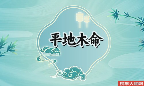 平地木命人金水伤官格有哪些特征?