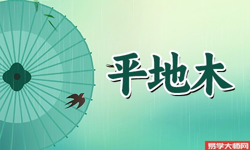 平地木命命带偏官的人有哪些特点?