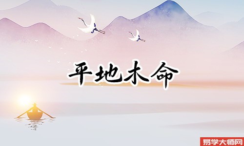 按八字的说法,平地木命人和什么相克