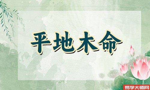 平地木命的人将来几年的运势如何?