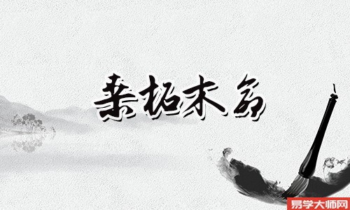 泉中水命和桑柘木命可以合作吗?