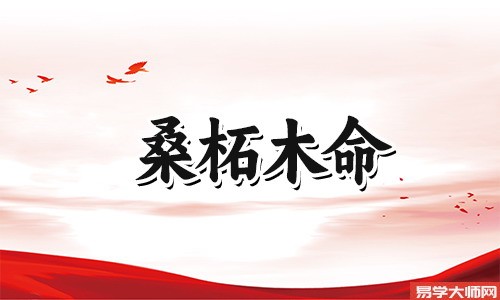 揭秘桑柘木命一生的财运怎么样?
