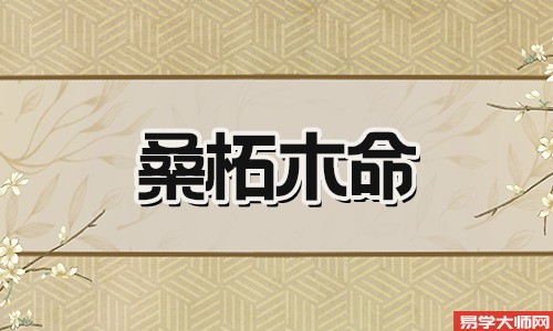 桑拓木命人一般都适合往哪个方向发展?