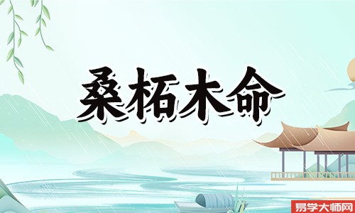 太过强势,桑拓木命人会有财运吗?