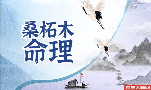 孤傲高冷,桑柘木命的人是劫财格吗?