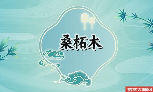 桑柘木命是正官格吗?他们的命运怎么样?