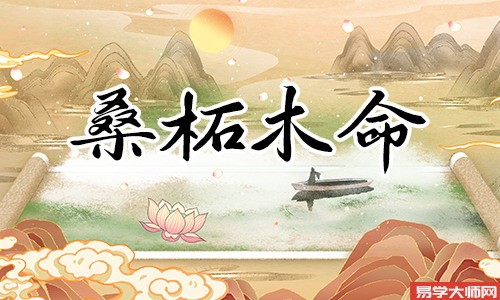桑柘木命人金水伤官的运势,会有财运吗?