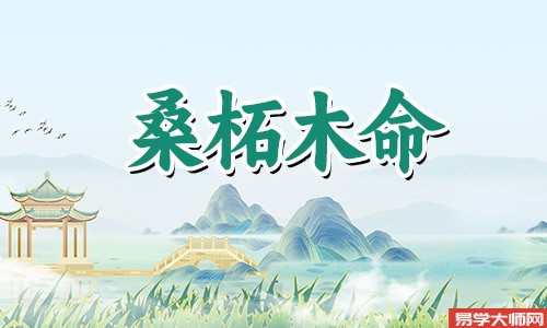 四柱身旺,桑柘木命人八字空亡吗?