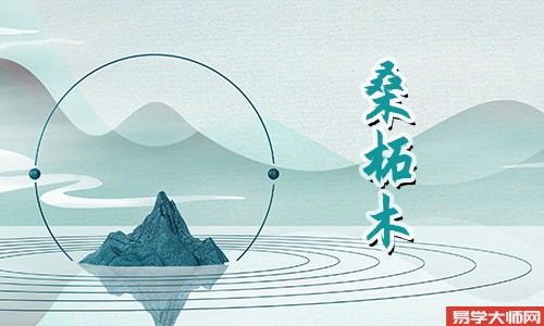 桑柘木命人命带偏宫吗?一生的运势怎么样?