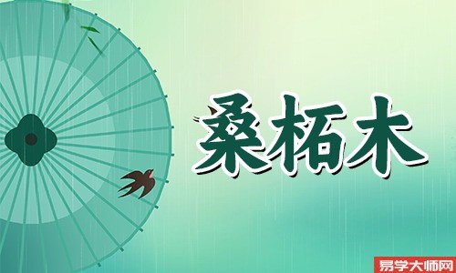 桑柘木命的人命中带偏官运会怎样,婚后易出轨?