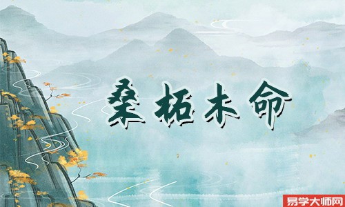 城府很深,桑柘木命的人适不适合当官?