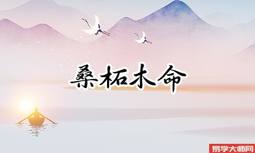 桑柘木命日柱有哪些,命运好不好?