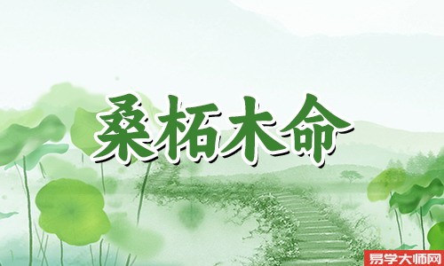桑柘木命的人将来几年的运势怎么样,事业发展较慢?