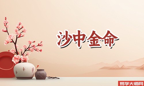 沙中金命人命带正印吗