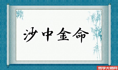 沙中金命的人是伤官格吗?