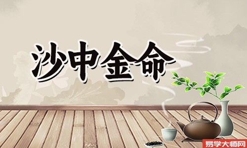 沙中金命,事业运极佳,是偏财格吗?