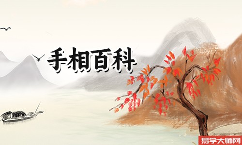 掌纹的秘密全图解是哪些?