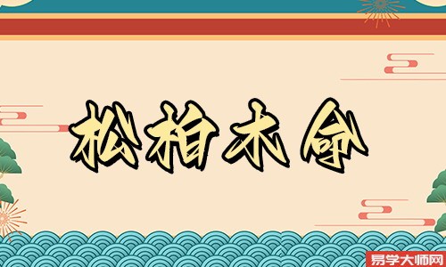 松柏木命的人,中年以后财运会发非常好