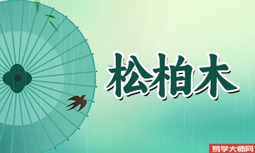 松柏木命的人和什么样的人蕞匹配,有哪些注意事项?