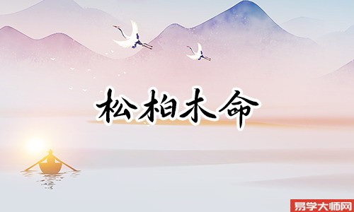 伤官格的松柏木命人有什么特点?