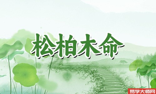 松柏木命的人,财运方面比较过人