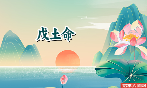戊土命的男性有哪些特点?