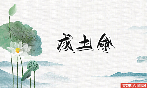 戊土女,颇受财运之惠,适合做什么工作?