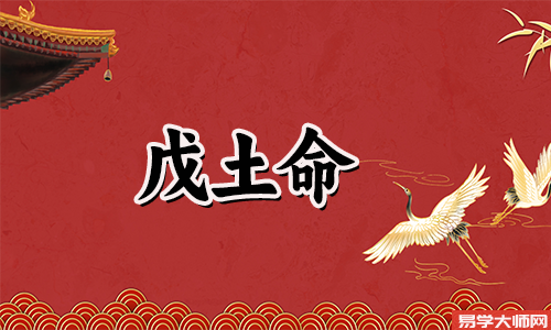 戊土日元壬寅年运势怎么样?