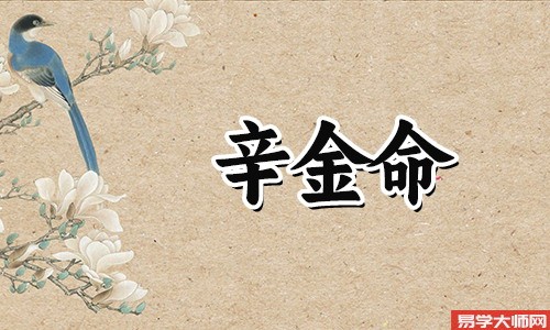 辛金生于巳月好不好?