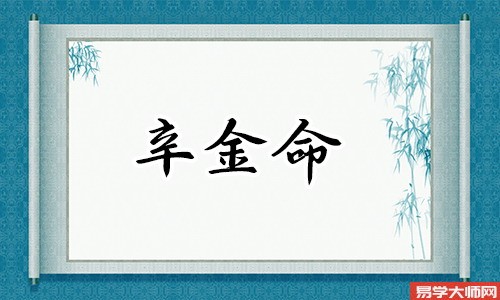 辛金命的人怎么样?