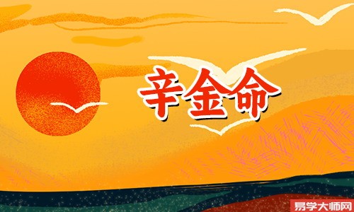 辛金命的男人有哪些优点?
