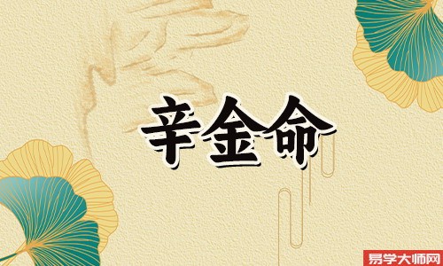 辛金命格的男性有哪些特征?