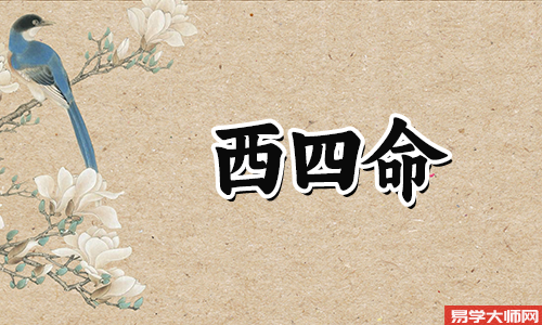西四命的男人，财运方面比较顺心