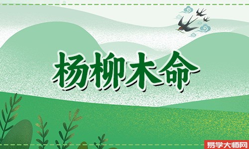2002年杨柳木命的女人一生运势如何?