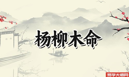 命宫壬午杨柳木,心高气傲人脉广的命局