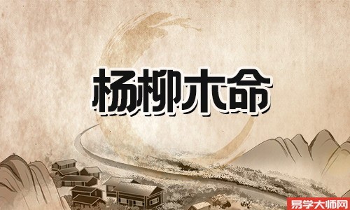 杨柳木命的女孩子,一生富贵好命运!