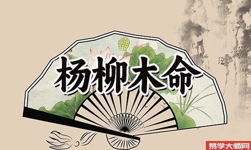 杨柳木命的女人有着什么样的性格特点?