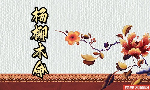 杨柳木命的人财运怎么样?如何做招财?