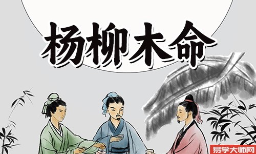 杨柳木命的女人是不是好命?