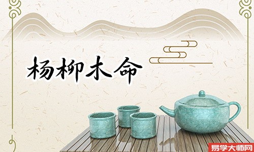 杨柳木命什么意思?杨柳木命适合的事业有哪些?