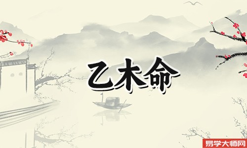乙木男命的女人缘好,享福