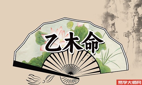 乙木命的女人适合从事什么职业?