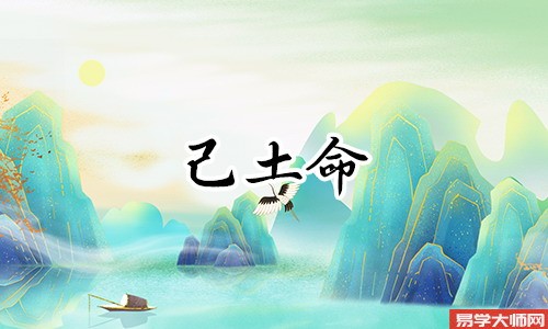 己土人的贵人是谁,食伤带来兴旺家庭?